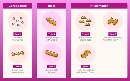 Constipation, Ideal, Inflammation